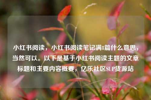 小红书阅读，小红书阅读笔记满8篇什么意思，当然可以。以下是基于小红书阅读主题的文章标题和主要内容概要，亿乐社区SUP货源站  第1张