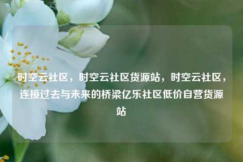 时空云社区，时空云社区货源站，时空云社区	，连接过去与未来的桥梁亿乐社区低价自营货源站  第1张