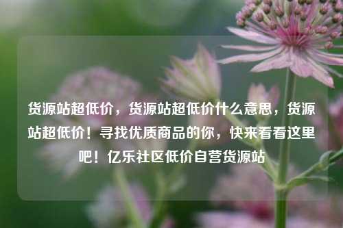 货源站超低价，货源站超低价什么意思，货源站超低价！寻找优质商品的你，快来看看这里吧！亿乐社区低价自营货源站  第1张