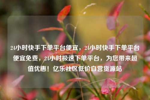 24小时快手下单平台便宜	，24小时快手下单平台便宜免费，24小时极速下单平台，为您带来超值优惠！亿乐社区低价自营货源站  第1张