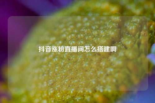 抖音涨粉直播间怎么搭建啊  第1张
