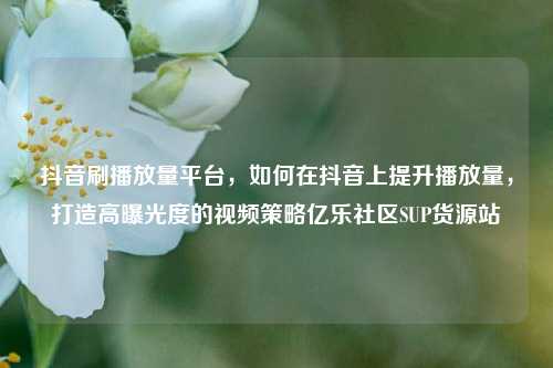 抖音刷播放量平台，如何在抖音上提升播放量	，打造高曝光度的视频策略亿乐社区SUP货源站  第1张