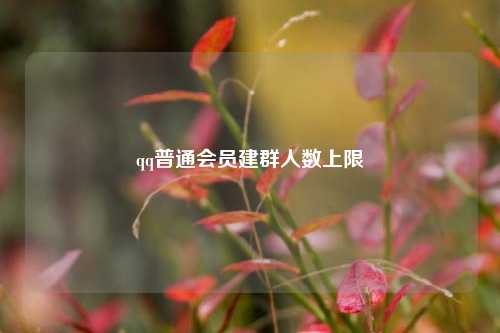 qq普通会员建群人数上限  第1张