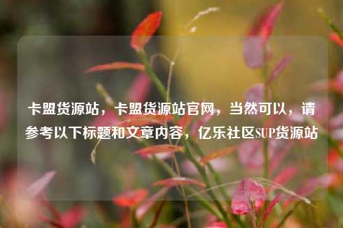 卡盟货源站，卡盟货源站官网	，当然可以，请参考以下标题和文章内容，亿乐社区SUP货源站  第1张