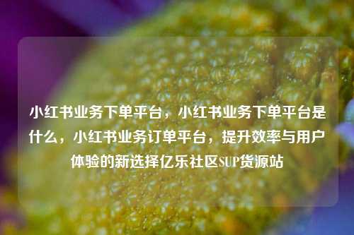 小红书业务下单平台	，小红书业务下单平台是什么，小红书业务订单平台，提升效率与用户体验的新选择亿乐社区SUP货源站  第1张