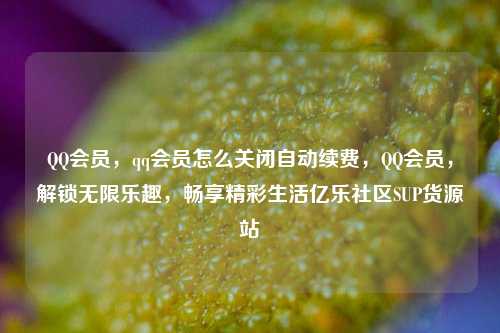 QQ会员，qq会员怎么关闭自动续费	，QQ会员，解锁无限乐趣，畅享精彩生活亿乐社区SUP货源站  第1张