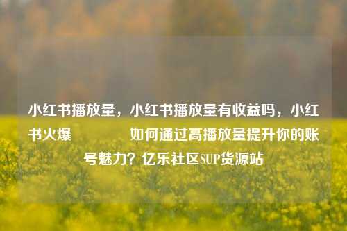 小红书播放量，小红书播放量有收益吗，小红书火爆🔥如何通过高播放量提升你的账号魅力？亿乐社区SUP货源站  第1张