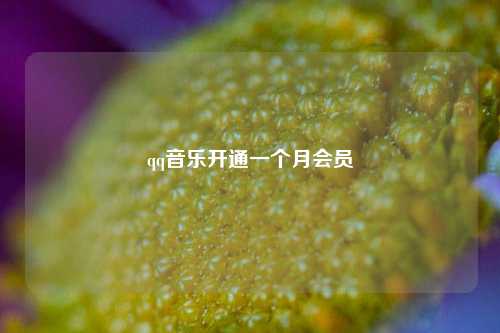 qq音乐开通一个月会员  第1张