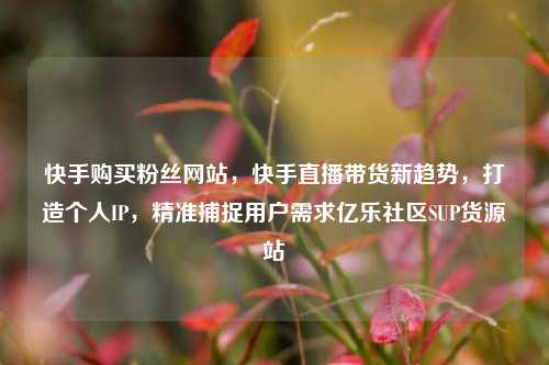 快手购买粉丝网站	，快手直播带货新趋势，打造个人IP，精准捕捉用户需求亿乐社区SUP货源站  第1张