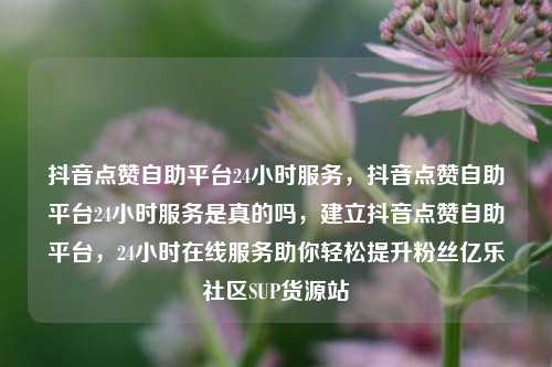 抖音点赞自助平台24小时服务，抖音点赞自助平台24小时服务是真的吗	，建立抖音点赞自助平台，24小时在线服务助你轻松提升粉丝亿乐社区SUP货源站  第1张