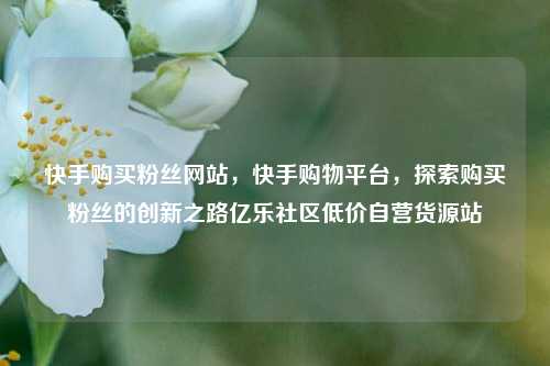 快手购买粉丝网站，快手购物平台，探索购买粉丝的创新之路亿乐社区低价自营货源站  第1张