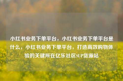 小红书业务下单平台，小红书业务下单平台是什么，小红书业务下单平台，打造高效购物体验的关键所在亿乐社区SUP货源站  第1张