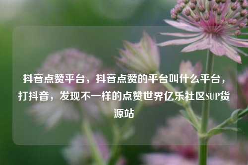 抖音点赞平台，抖音点赞的平台叫什么平台，打抖音	，发现不一样的点赞世界亿乐社区SUP货源站  第1张