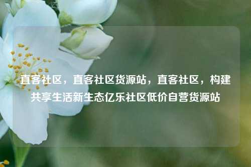 直客社区，直客社区货源站，直客社区，构建共享生活新生态亿乐社区低价自营货源站  第1张