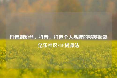 抖音刷粉丝，抖音，打造个人品牌的秘密武器亿乐社区SUP货源站  第1张