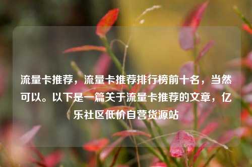 流量卡推荐，流量卡推荐排行榜前十名，当然可以。以下是一篇关于流量卡推荐的文章	，亿乐社区低价自营货源站  第1张