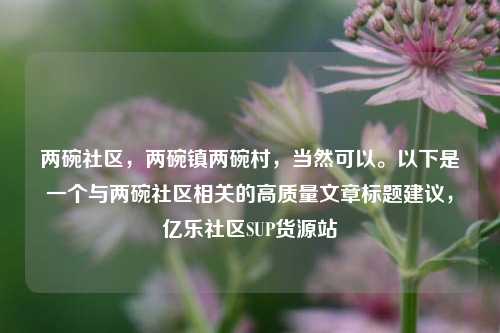 两碗社区，两碗镇两碗村，当然可以。以下是一个与两碗社区相关的高质量文章标题建议，亿乐社区SUP货源站  第1张