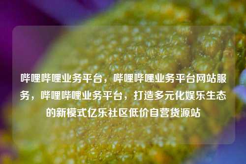 哔哩哔哩业务平台	，哔哩哔哩业务平台网站服务，哔哩哔哩业务平台，打造多元化娱乐生态的新模式亿乐社区低价自营货源站  第1张