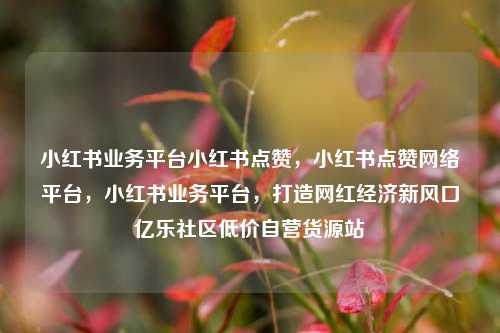 小红书业务平台小红书点赞，小红书点赞网络平台	，小红书业务平台，打造网红经济新风口亿乐社区低价自营货源站  第1张