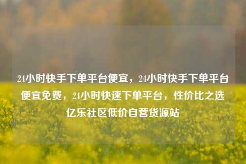 24小时快手下单平台便宜	，24小时快手下单平台便宜免费，24小时快速下单平台，性价比之选亿乐社区低价自营货源站  第1张