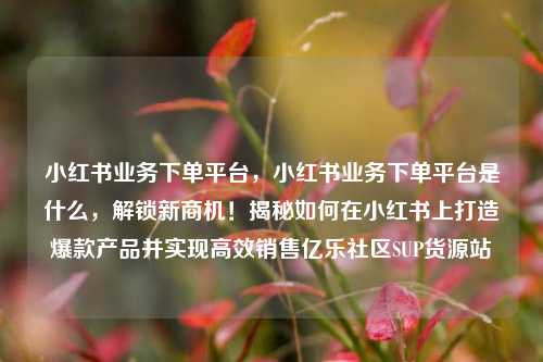 小红书业务下单平台	，小红书业务下单平台是什么，解锁新商机！揭秘如何在小红书上打造爆款产品并实现高效销售亿乐社区SUP货源站  第1张