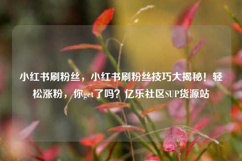 小红书刷粉丝，小红书刷粉丝技巧大揭秘！轻松涨粉	，你get了吗？亿乐社区SUP货源站  第1张
