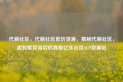 代刷社区，代刷社区低价货源，揭秘代刷社区，虚假繁荣背后的真相亿乐社区SUP货源站  第1张
