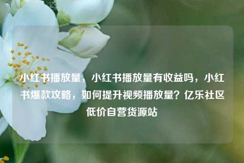 小红书播放量，小红书播放量有收益吗，小红书爆款攻略	，如何提升视频播放量？亿乐社区低价自营货源站  第1张