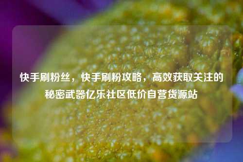 快手刷粉丝，快手刷粉攻略	，高效获取关注的秘密武器亿乐社区低价自营货源站  第1张