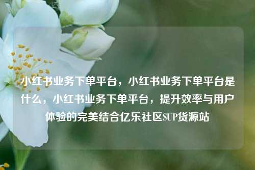 小红书业务下单平台，小红书业务下单平台是什么，小红书业务下单平台	，提升效率与用户体验的完美结合亿乐社区SUP货源站  第1张