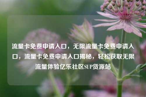 流量卡免费申请入口，无限流量卡免费申请入口，流量卡免费申请入口揭秘	，轻松获取无限流量体验亿乐社区SUP货源站  第1张