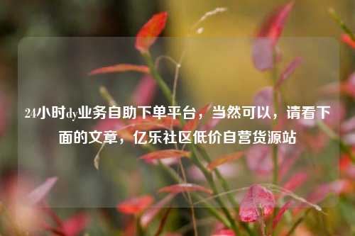 24小时dy业务自助下单平台，当然可以，请看下面的文章	，亿乐社区低价自营货源站  第1张