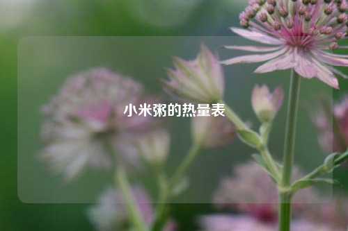 小米粥的热量表  第1张