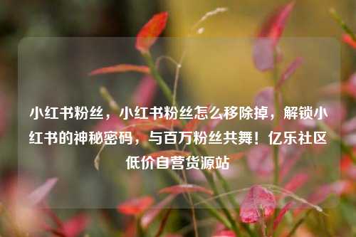小红书粉丝，小红书粉丝怎么移除掉	，解锁小红书的神秘密码，与百万粉丝共舞！亿乐社区低价自营货源站  第1张