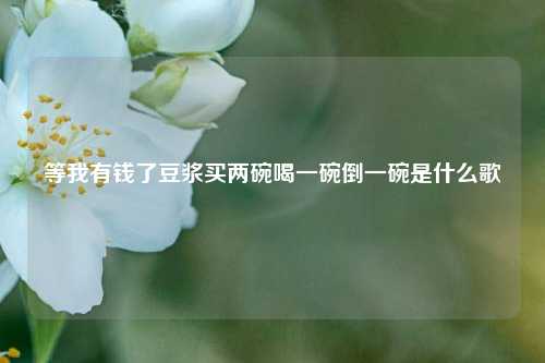 等我有钱了豆浆买两碗喝一碗倒一碗是什么歌  第1张