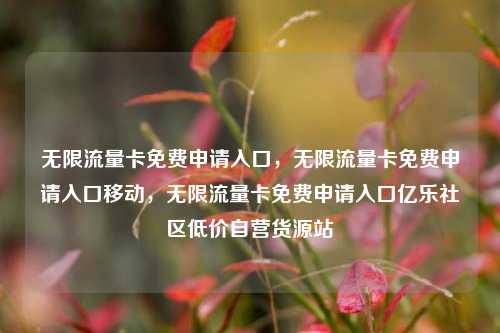 无限流量卡免费申请入口，无限流量卡免费申请入口移动，无限流量卡免费申请入口亿乐社区低价自营货源站  第1张