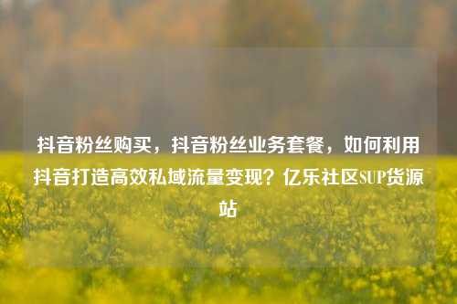 抖音粉丝购买	，抖音粉丝业务套餐，如何利用抖音打造高效私域流量变现？亿乐社区SUP货源站  第1张