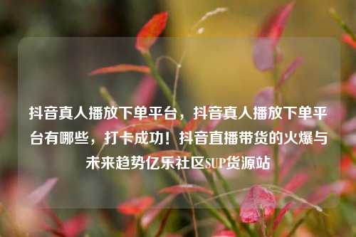 抖音真人播放下单平台	，抖音真人播放下单平台有哪些，打卡成功！抖音直播带货的火爆与未来趋势亿乐社区SUP货源站  第1张
