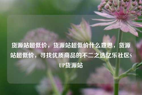 货源站超低价，货源站超低价什么意思	，货源站超低价，寻找优质商品的不二之选亿乐社区SUP货源站  第1张
