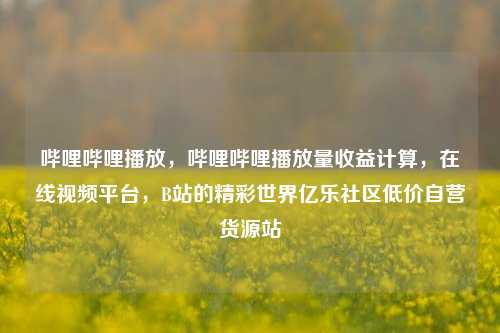 哔哩哔哩播放，哔哩哔哩播放量收益计算	，在线视频平台，B站的精彩世界亿乐社区低价自营货源站  第1张