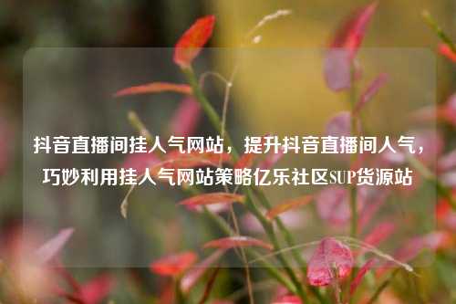 抖音直播间挂人气网站	，提升抖音直播间人气，巧妙利用挂人气网站策略亿乐社区SUP货源站  第1张