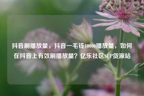 抖音刷播放量，抖音一毛钱10000播放量	，如何在抖音上有效刷播放量？亿乐社区SUP货源站  第1张