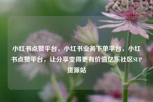 小红书点赞平台，小红书业务下单平台	，小红书点赞平台，让分享变得更有价值亿乐社区SUP货源站  第1张