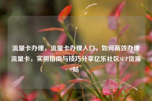 流量卡办理	，流量卡办理入口，如何高效办理流量卡，实用指南与技巧分享亿乐社区SUP货源站  第1张