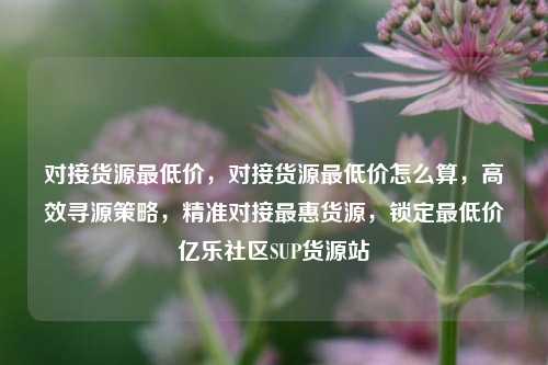 对接货源最低价，对接货源最低价怎么算，高效寻源策略	，精准对接最惠货源，锁定最低价亿乐社区SUP货源站  第1张