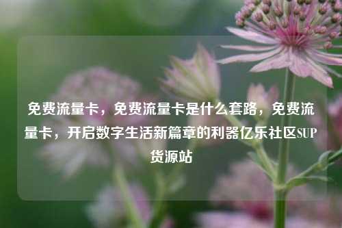 免费流量卡，免费流量卡是什么套路，免费流量卡	，开启数字生活新篇章的利器亿乐社区SUP货源站  第1张