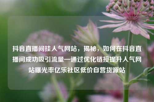 抖音直播间挂人气网站	，揭秘，如何在抖音直播间成功吸引流量—通过优化链接提升人气网站曝光率亿乐社区低价自营货源站  第1张