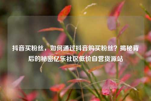 抖音买粉丝，如何通过抖音购买粉丝？揭秘背后的秘密亿乐社区低价自营货源站  第1张
