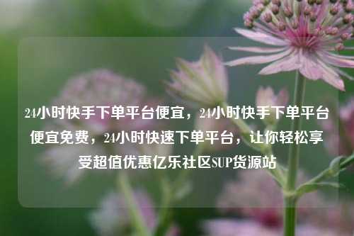 24小时快手下单平台便宜，24小时快手下单平台便宜免费	，24小时快速下单平台，让你轻松享受超值优惠亿乐社区SUP货源站  第1张