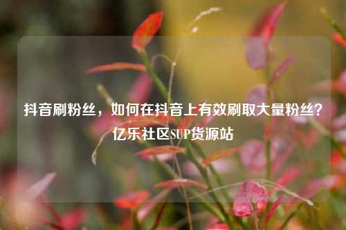 抖音刷粉丝，如何在抖音上有效刷取大量粉丝？亿乐社区SUP货源站  第1张